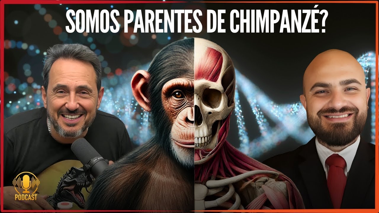 A BIOLOGIA CONFIRMA: HOMENS E CHIMPANZÉS, NADA A VER!  | DISCUTINDO CIÊNCIA com MARCOS EBERLIN