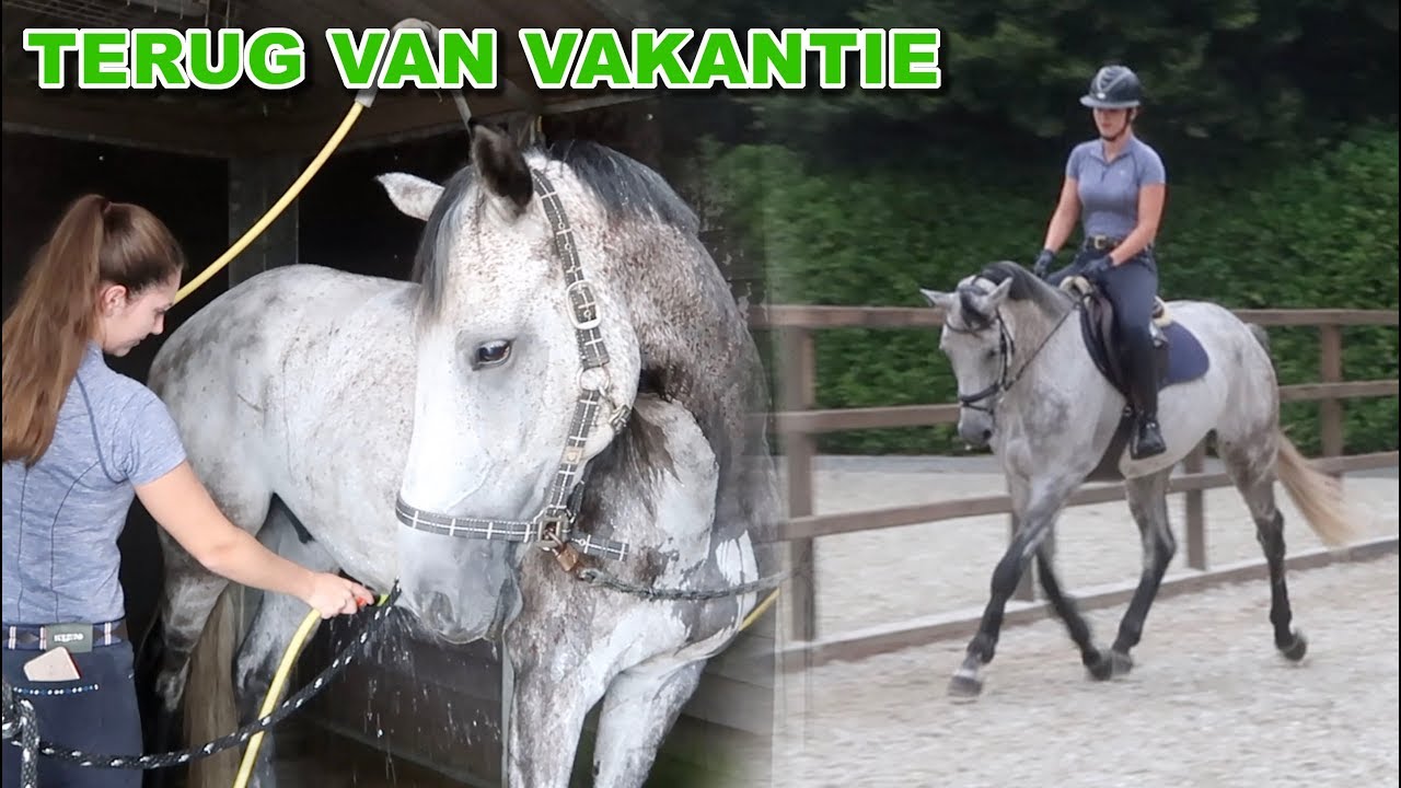 EINDELIJK weer naar Indu ❤️ - #98 Romy van der Linden