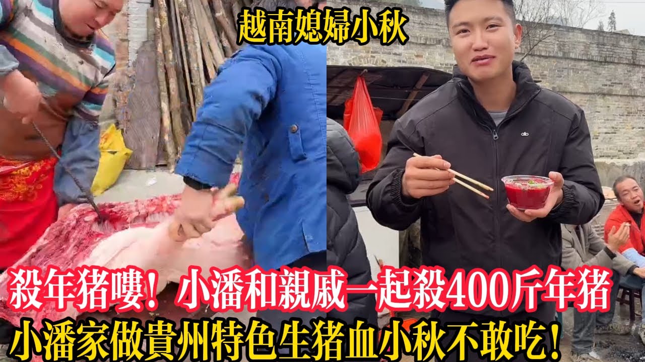 殺年豬嘍！小潘今天和親戚一起宰殺400斤的年豬！小潘家做貴州特色生豬血小秋不敢吃！【越南媳婦小秋】
