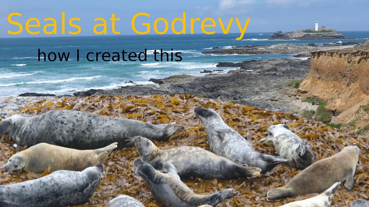 Godrevy Lighthouse and Seals (how I created this)