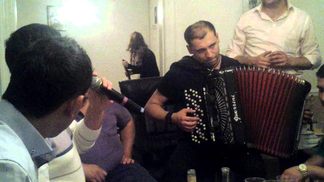 Aca cergar sanika gorila i mali zeljko kod jole u dansku   7. okt. 2012 22:40