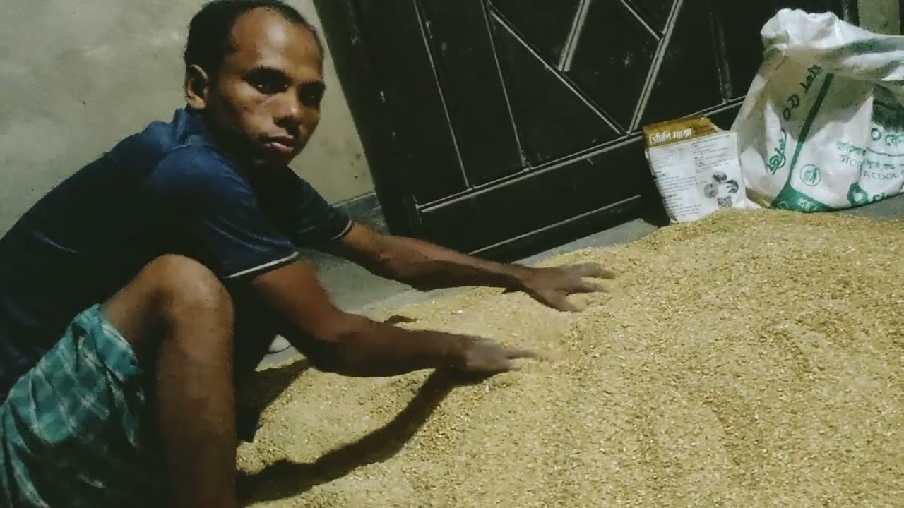 ৪২ টাকায় লেয়ার ফিড  তৈরি করলাম