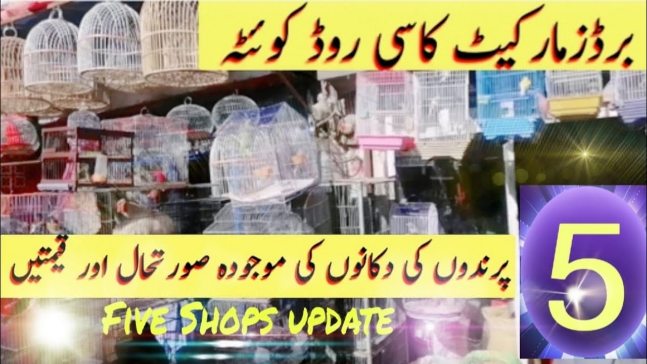 birds Markeet in Quetta...................5 shops visit update price Kasi Road Quetta 20.02.2022