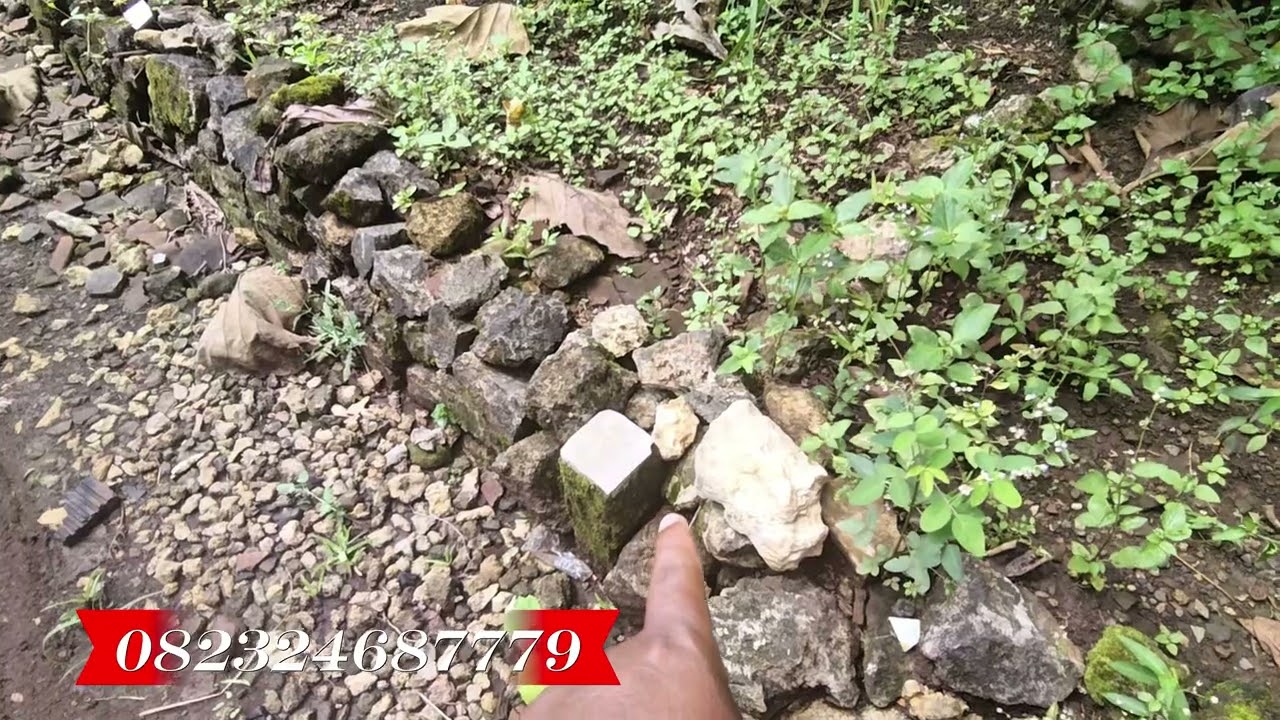 Tanah murah dan strategis dikarangmojo Gunungkidul 