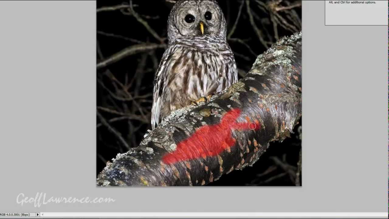 Using the Quick Mask in Photoshop and Photoshop Editing