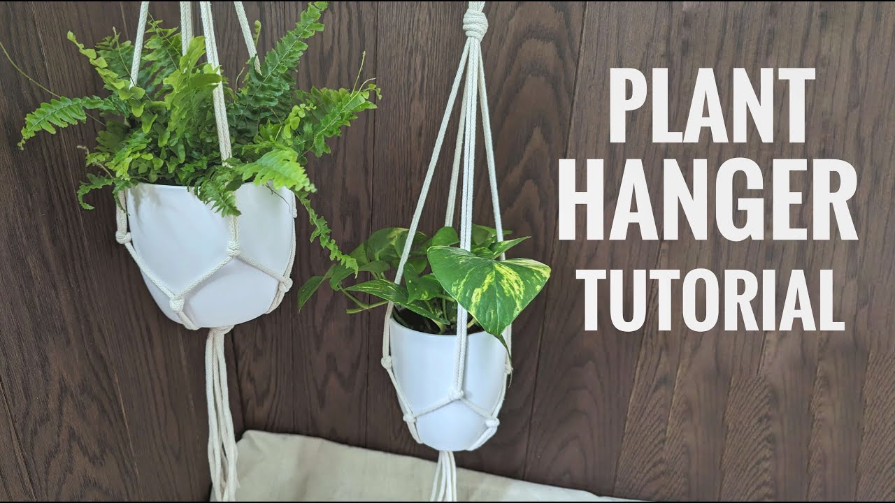 EASY PLANT HANGER