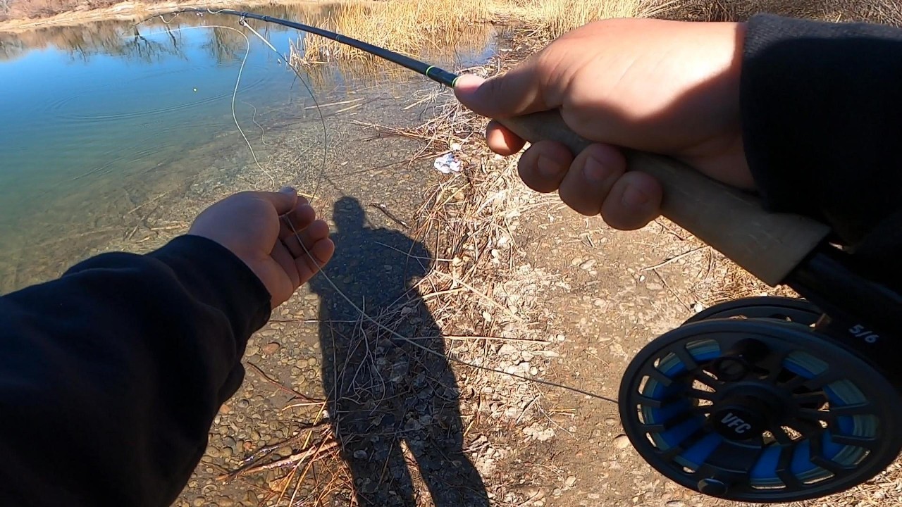 Fly Fishing Colorado Pond!