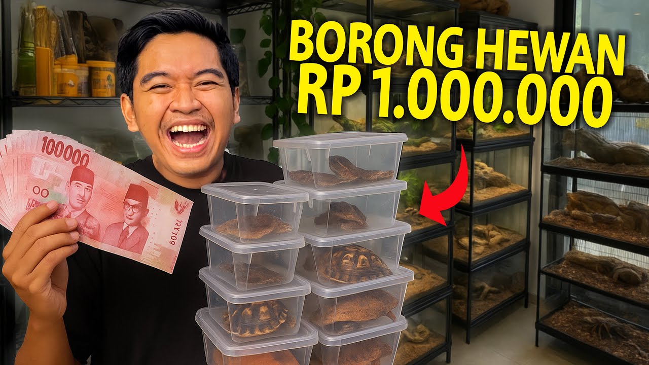 BORONG BANYAK HEWAN SEKALIGUS TOTALNYA RP 1.000.000! PADA TURUN HARGANYA??
