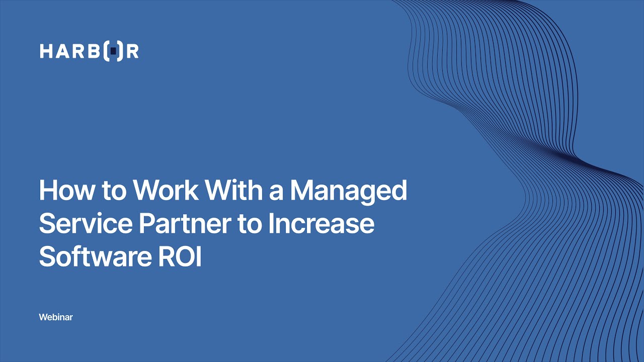 How to Work With a Managed Service Partner to Increase Software ROI