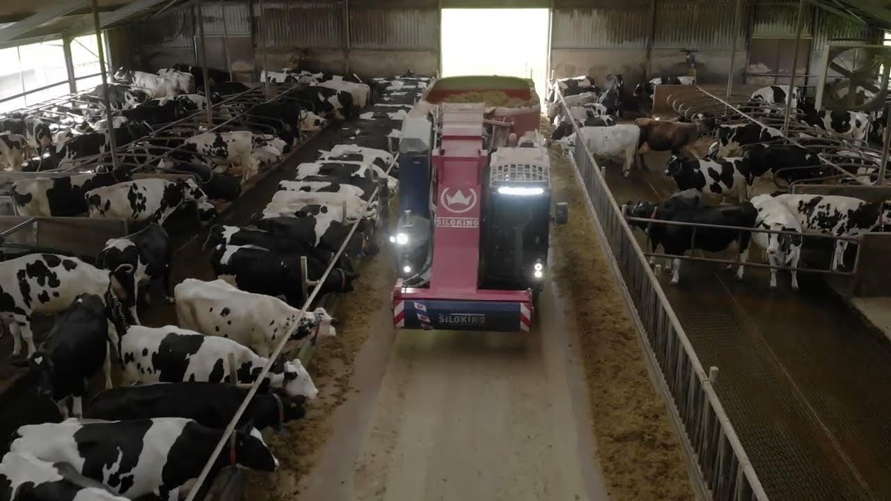 Voeren | Loonbedrijf Ronald Bos | Hoornsterzwaag