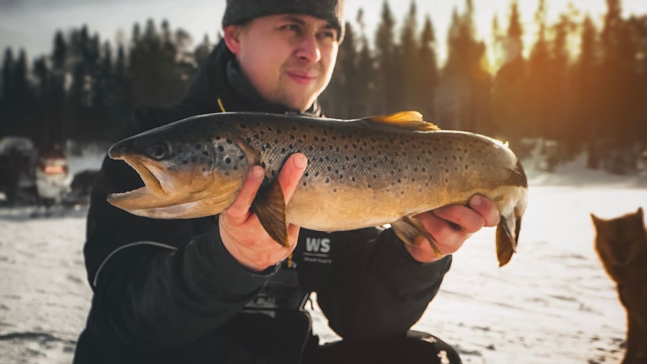 ISFISKE EFTER STOR &Ouml;RING (2kg+)