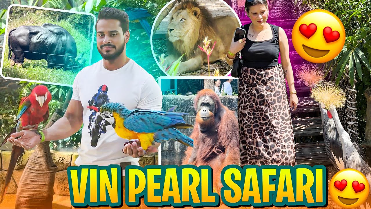 Jungle Safari Mein Hum Par Hua Attack 😱 VinPearl Safari