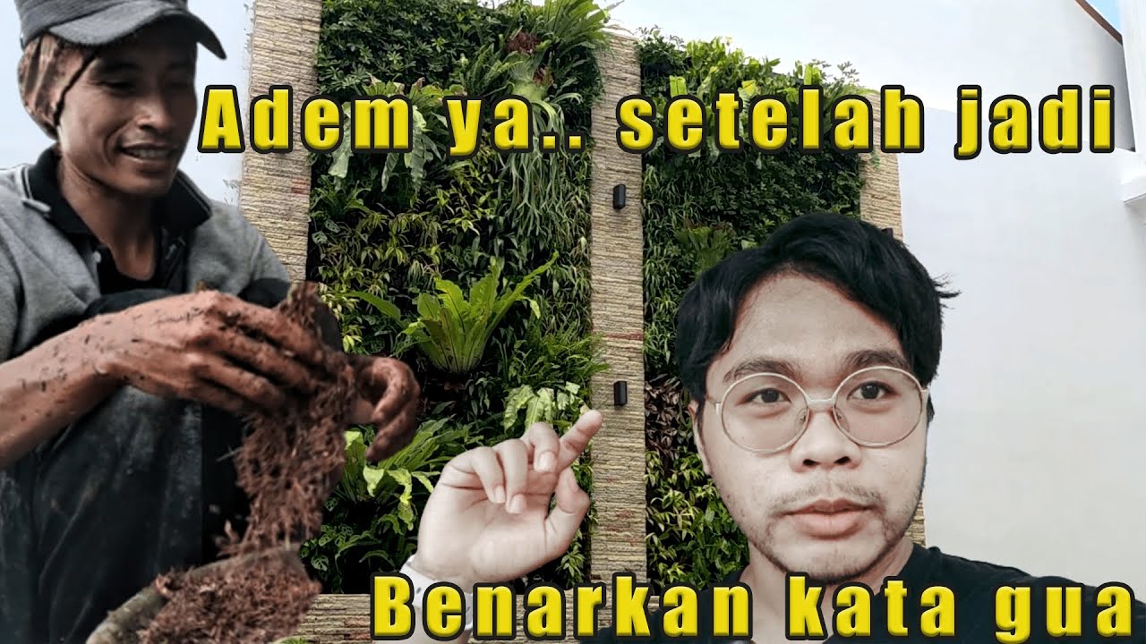 VERTICAL GARDEN SETELAH 2 MINGGU PEMASANGAN! JADI ADEM  NIH| Taman Dinding by Isti Anggana Landscape