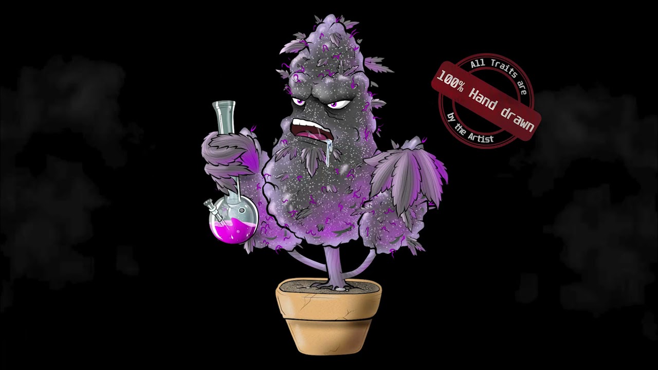 OGWeed NFT Teaser INDICA #BlackberryKush