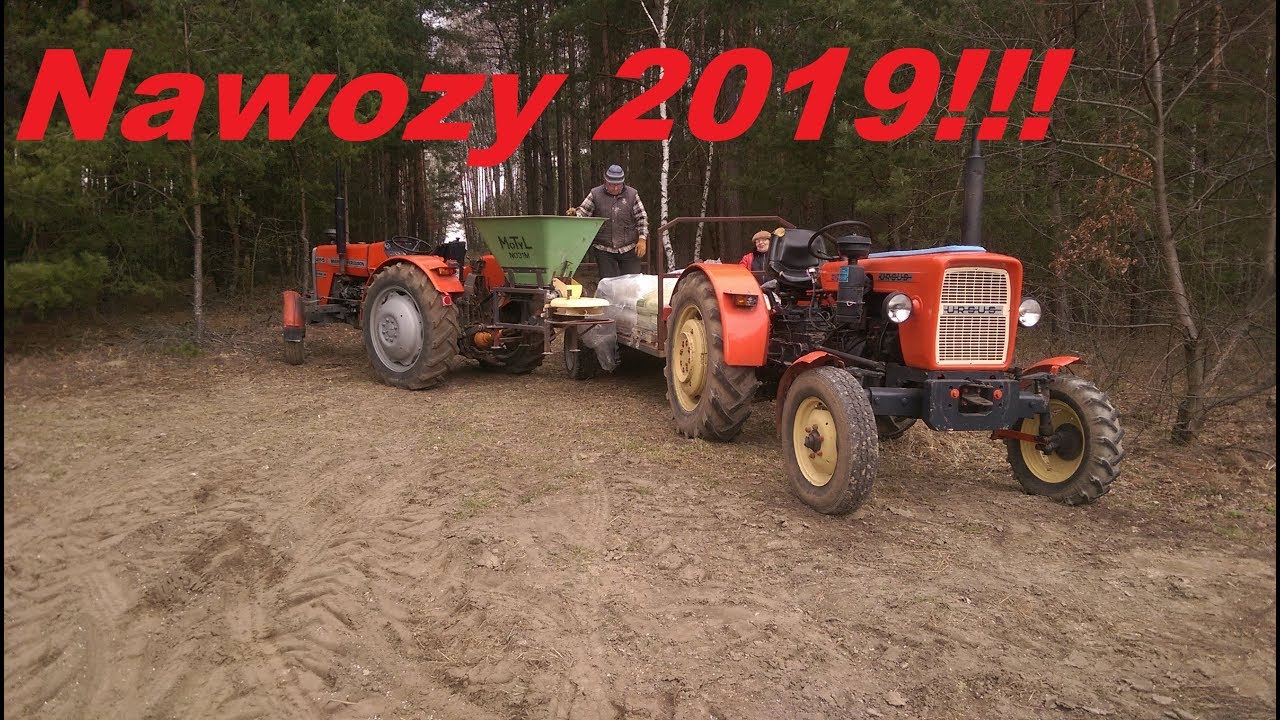 Nawozy 2019!//Massey Ferguson 255&MoTyL NO31M