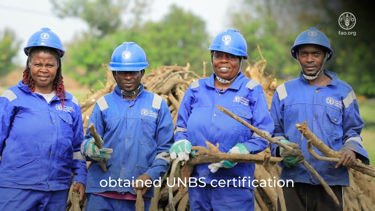 Promoting Sustainable Charcoal and Cleaner Cooking in Uganda – FAO & EU Project