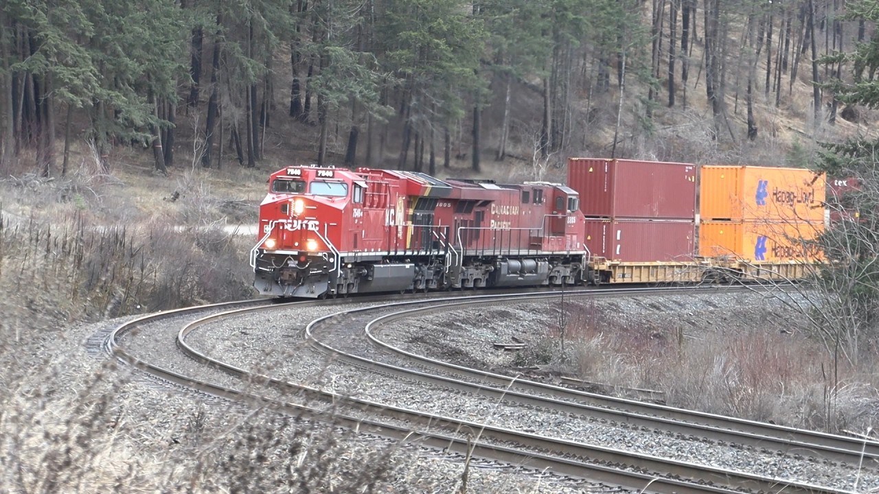Skeena Pacific #2560 CPKC IMF East, Mile 87.3 Shuswap Sub., Squilax, BC, Canada   2026-02-04