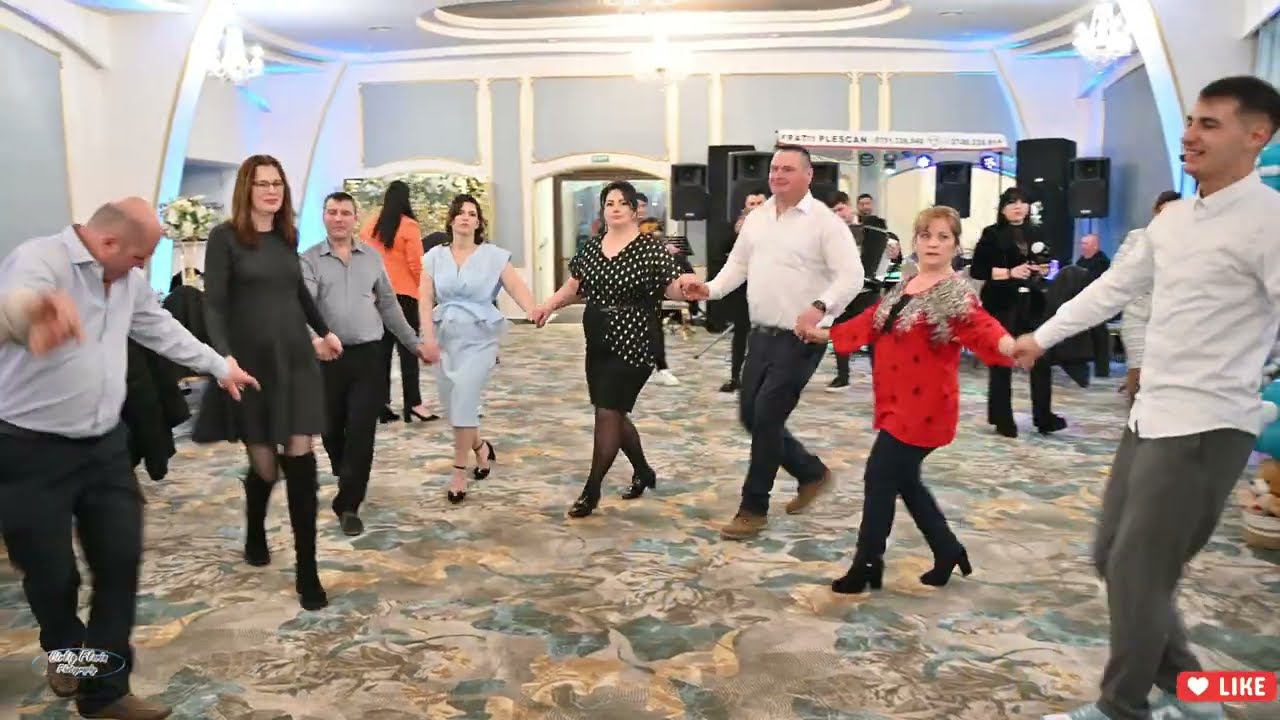 Fratii Plescan din Draganesti - Hore live