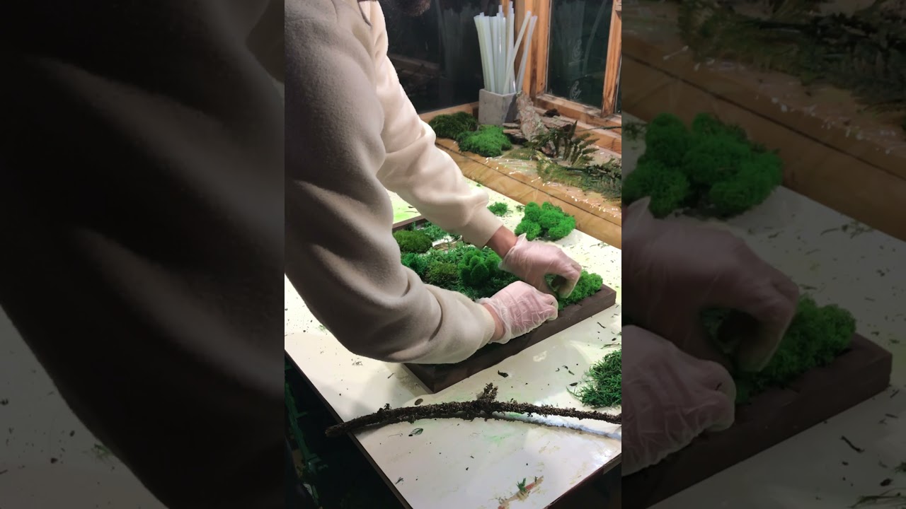 Создание картины из мха формата 40х50 см из набора DIY BOX