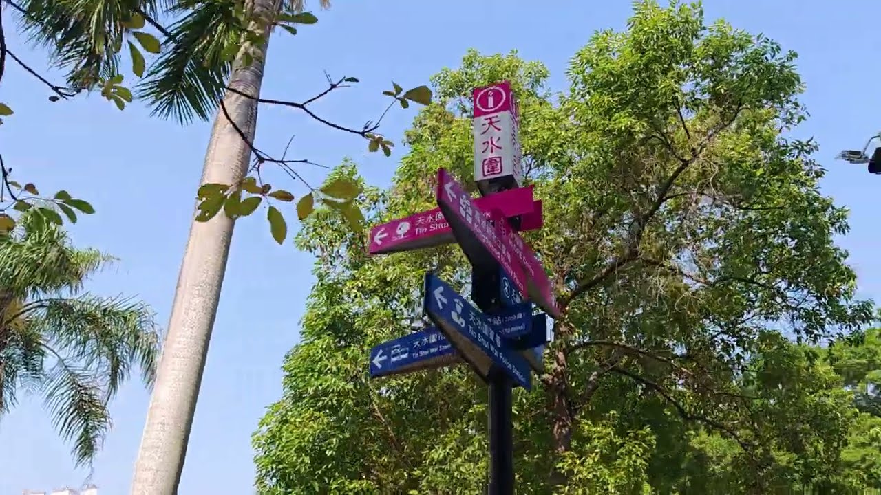 天水圍公園 散步 4K