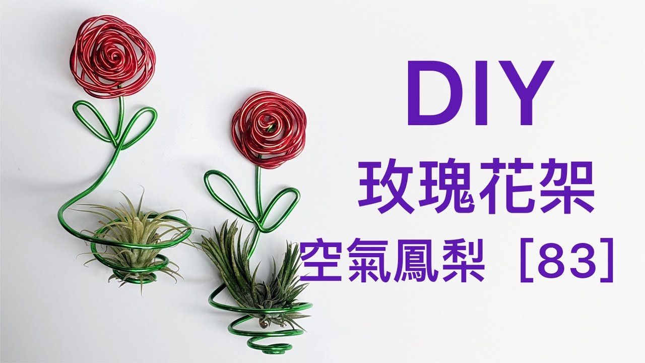 DIY wire 教你如何使用彩色鋁線製作空氣鳳梨  空氣鳳梨 玫瑰花架 空鳳架 How to make Aluminum wire Air plant rose