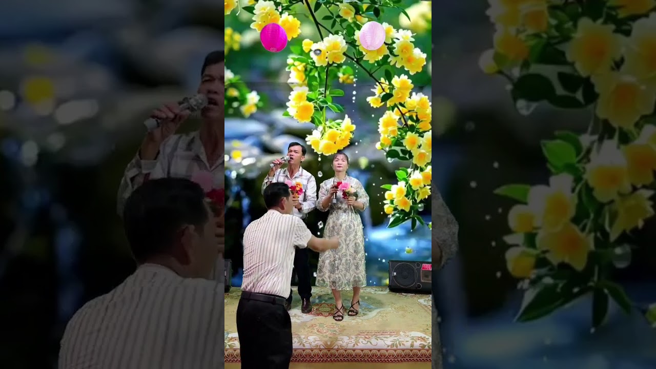 Bài Tân Cổ;Chiếc Áo Bà Ba.TB;Tấn Lực & Hải Âu