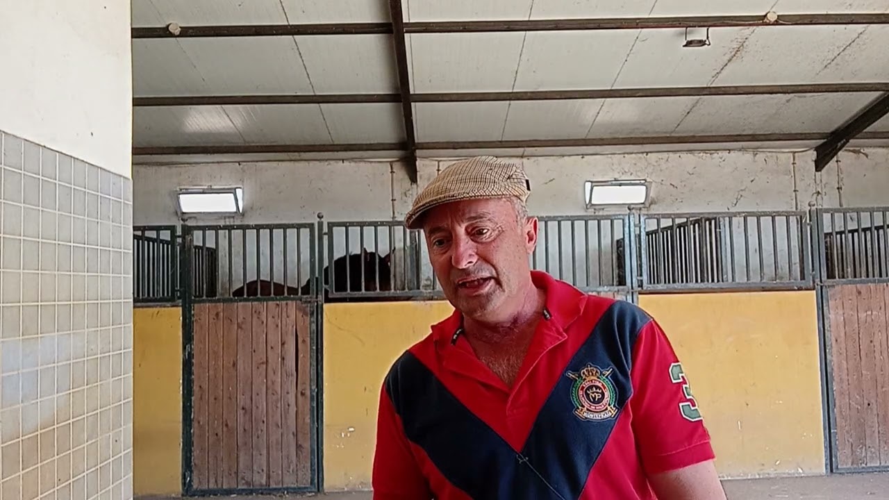 EL CABALLO  HISPANO-ANGLO-ARABE, EL TRES SAGRE.