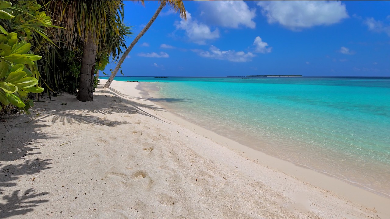 🏝 Turquoise Ocean with Non Stop Waves Sounds for Sleeping. Ocean Sounds. Cozy Ambience