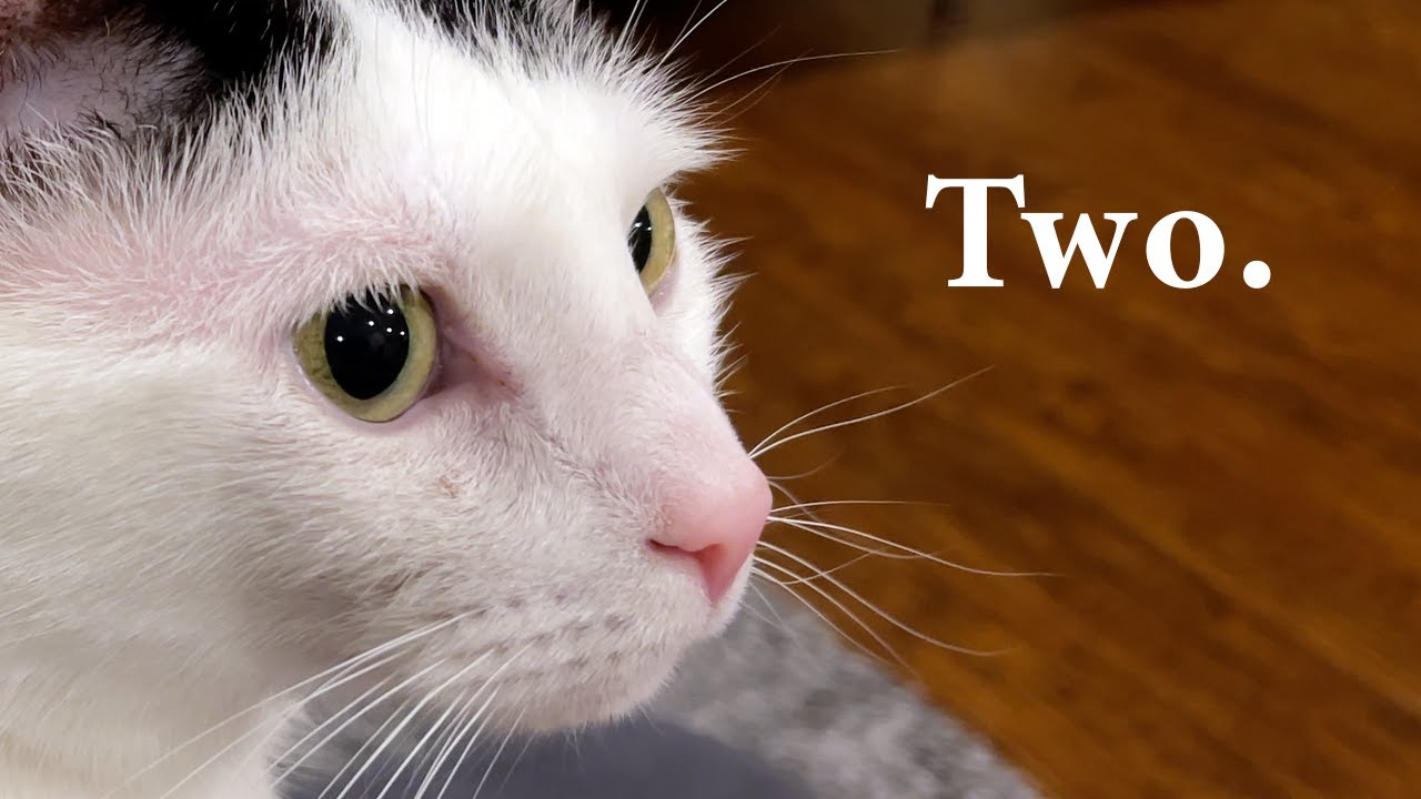 Два года • 2.20.22