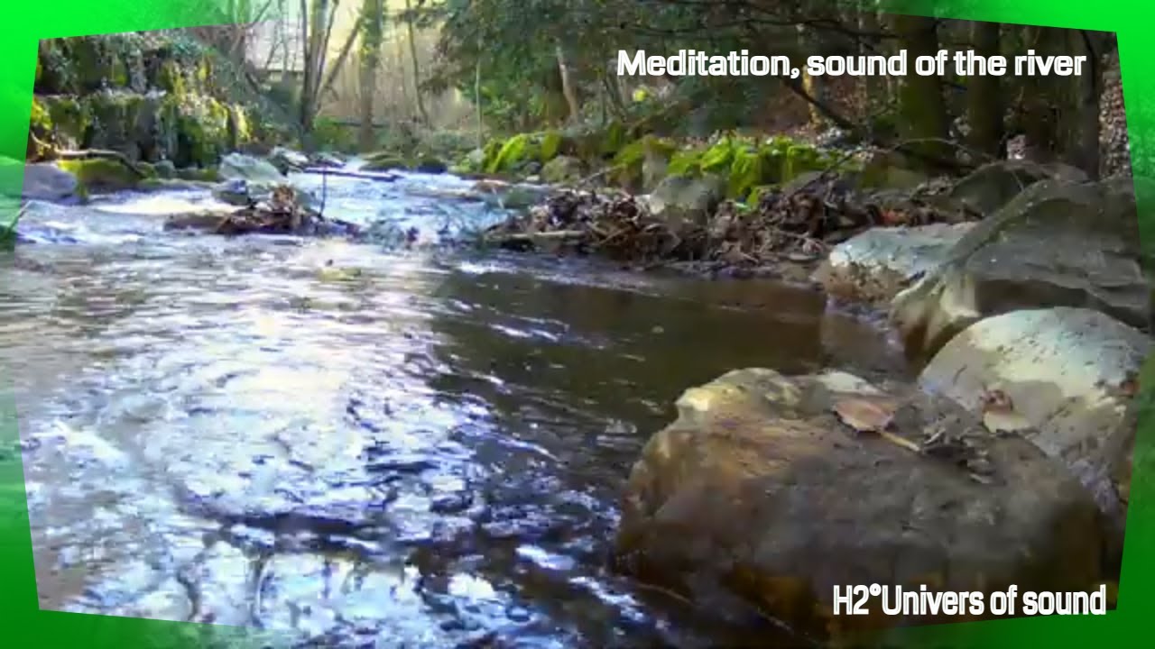 The Sounds of the River: A Source of Comfort and Serenity