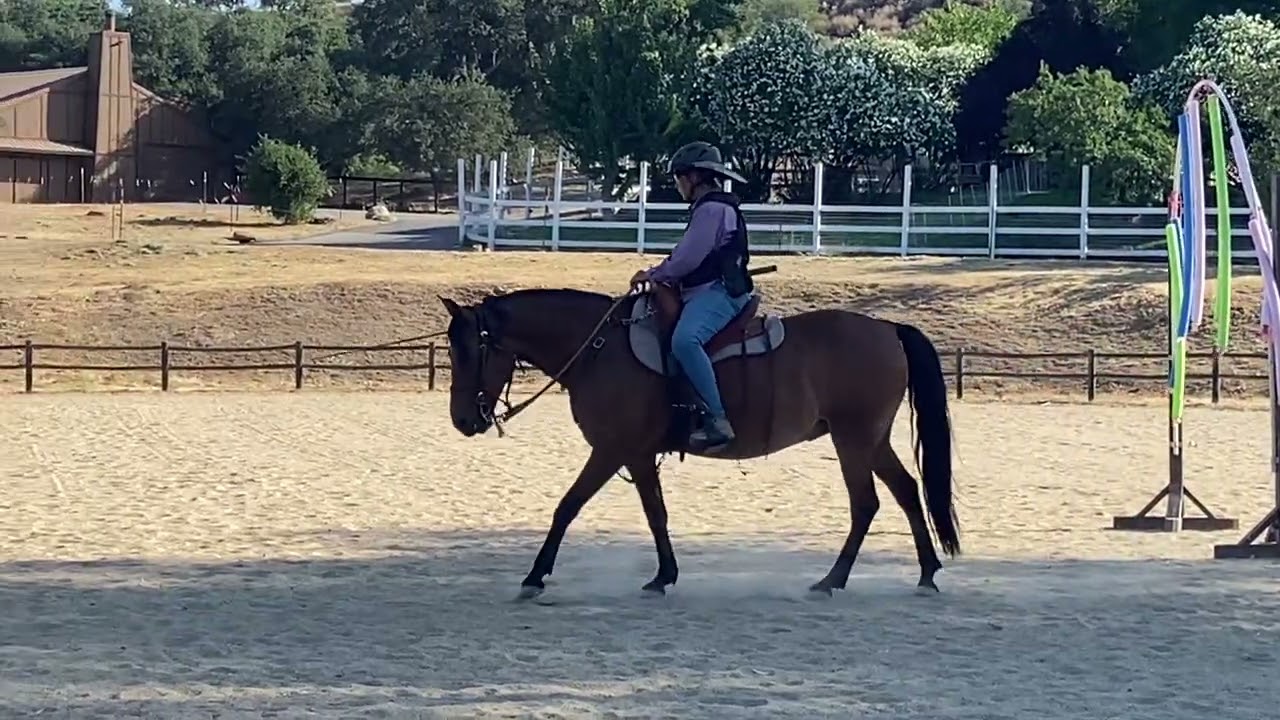 Apoteose do saint horse VTRC#50 basic