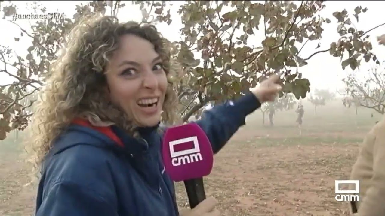 Cómo y cuándo podar los pistachos | Ancha Es CLM