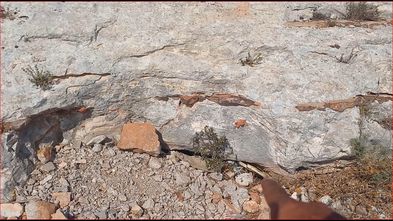 عندما تجتمع الخبرة والميدان والمعلومات فانت لا تحتاج لخبير معلومة من الميدان تهم الجميع