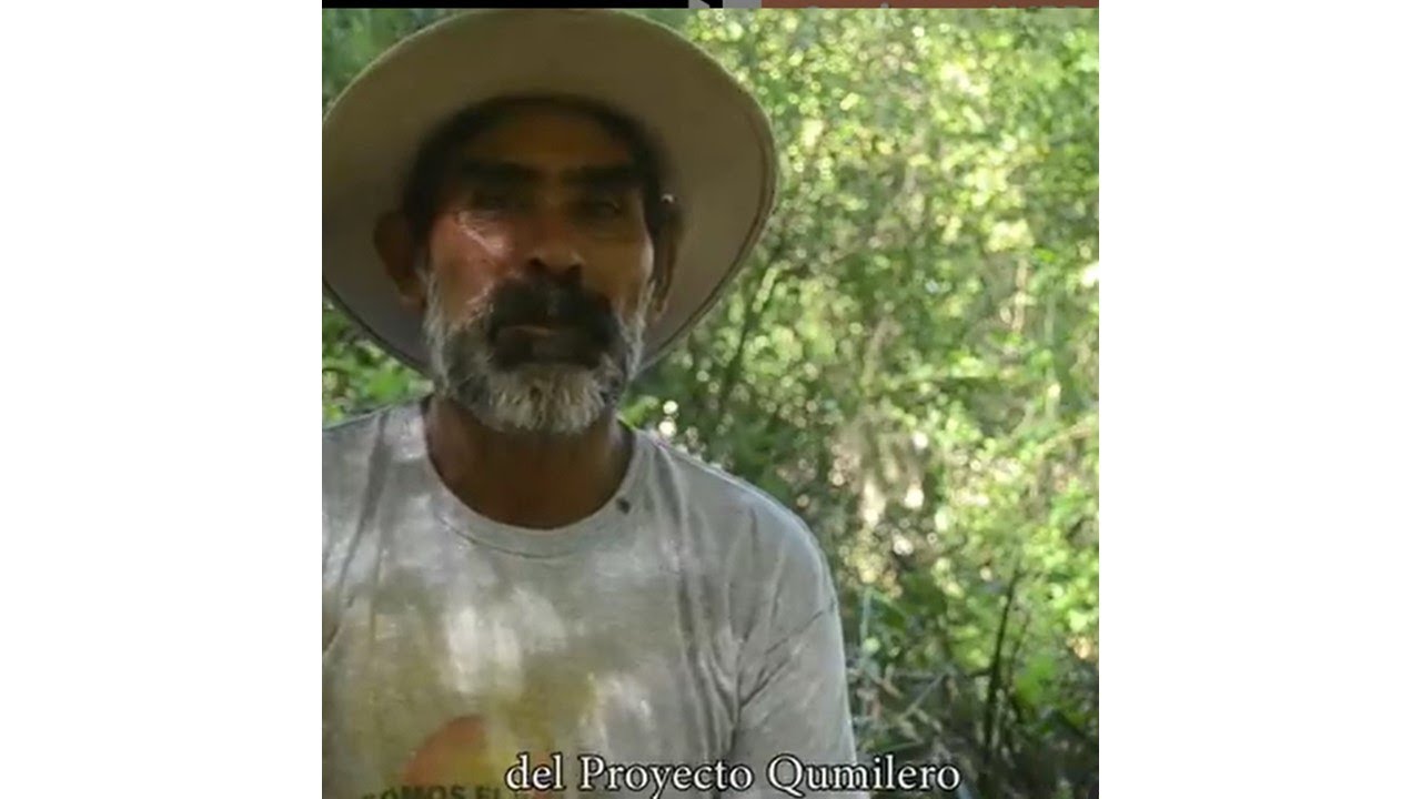 Saberes locales - Chanchos de Monte - Parte 1