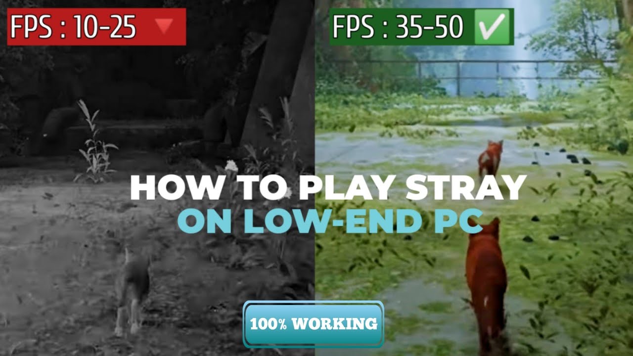 How to play Stray on Low-End PC (100% Working)