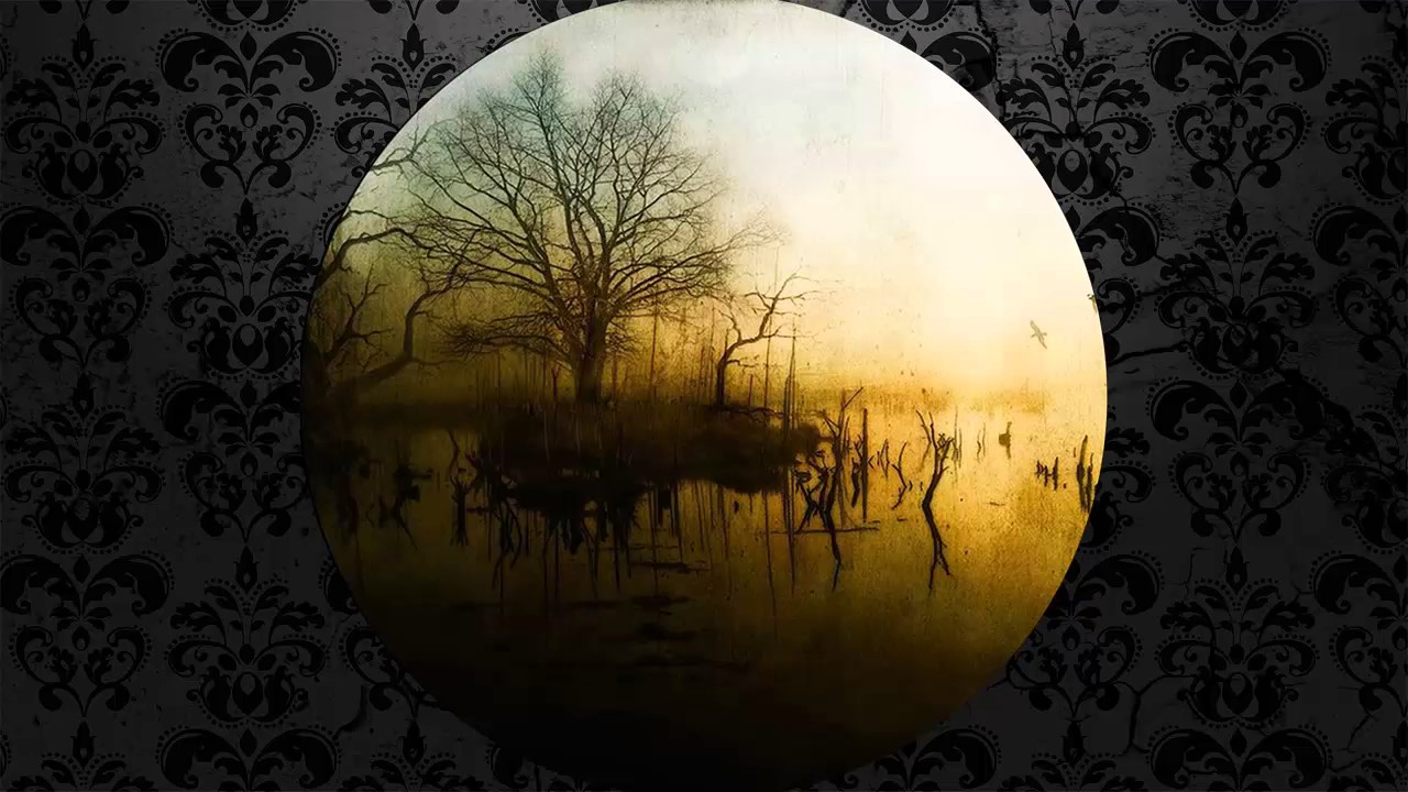 Knobs - Elephant (Original Mix) [NACHTSTROM SCHALLPLATTEN]