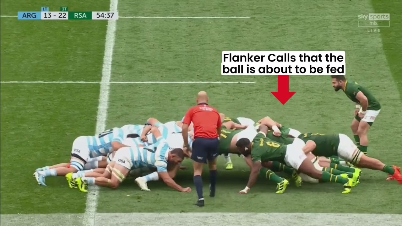 How Does The  Springbok Scrum Generate So Much Power?