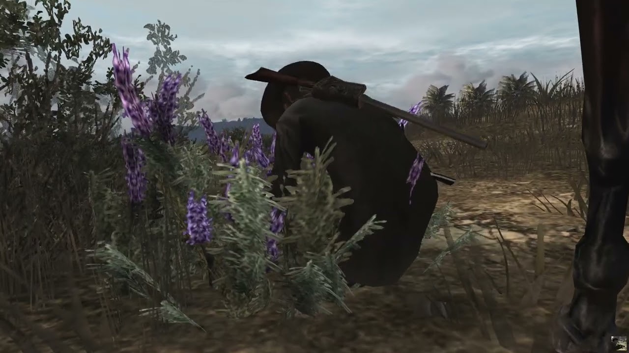 RDR: Survivalist Challenge 5 - where to find 7 Wooly Blue Curls