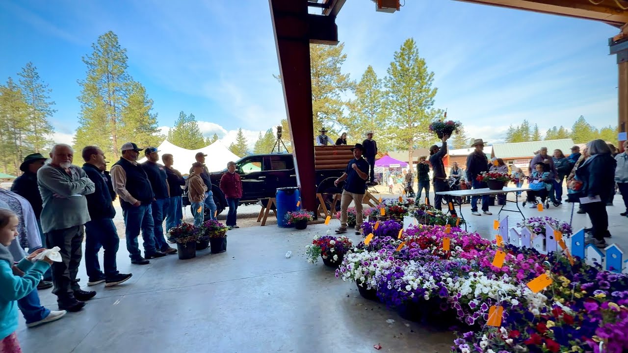 Eagle Valley Auction And Amish Farm To Market Complete Walk Through- May 17, 2025