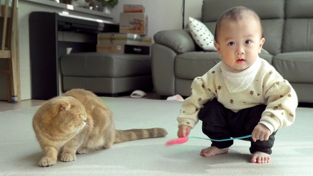 будет ли ребенок подружиться с котом?