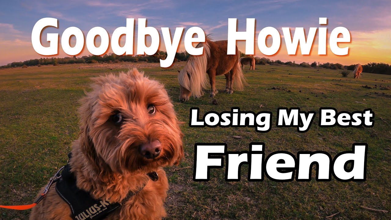 Goodbye Howie... Losing My Best Friend | landscape Photography
