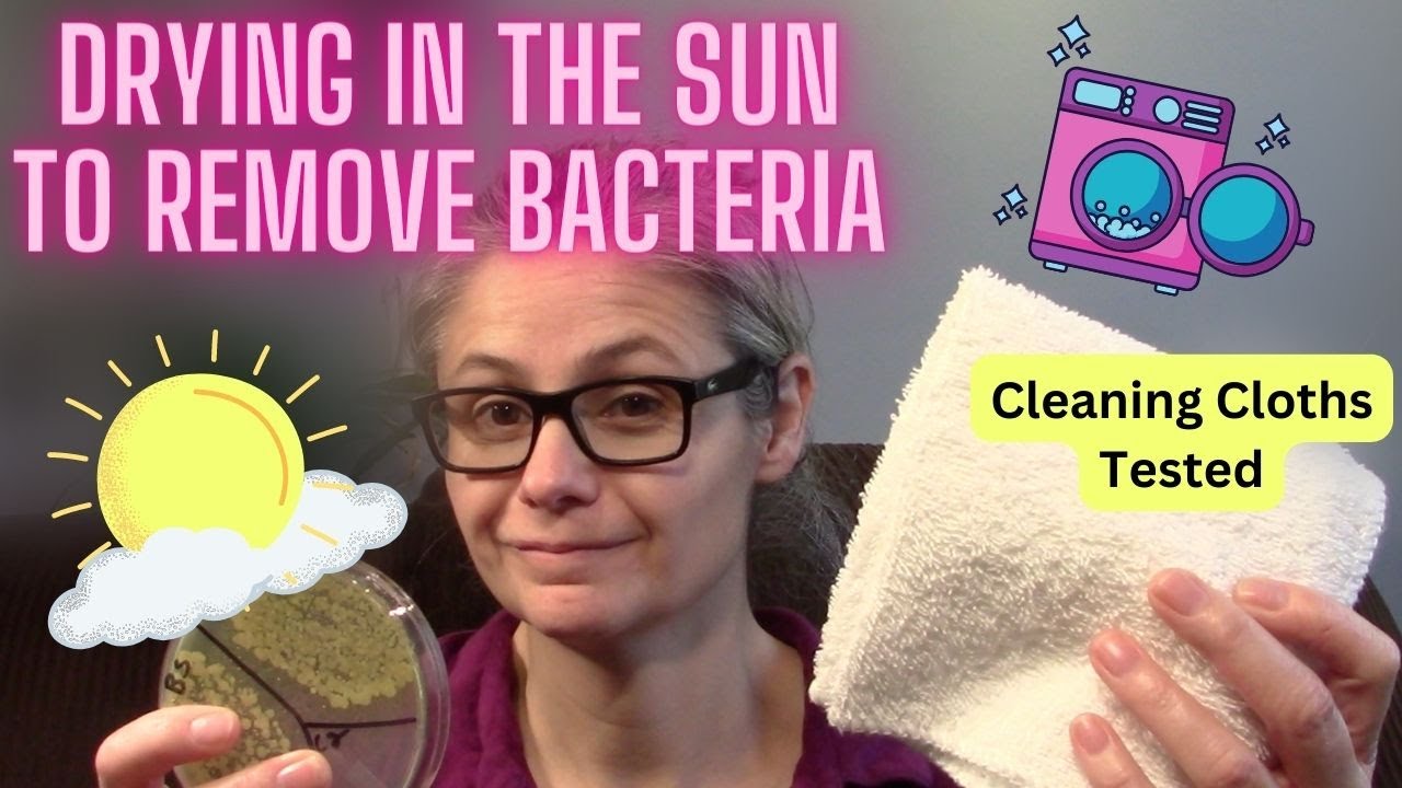 Washing & Drying in the SUN to Remove Bacteria? -VIEWER REQUEST-  Tested w/Petri dishes!