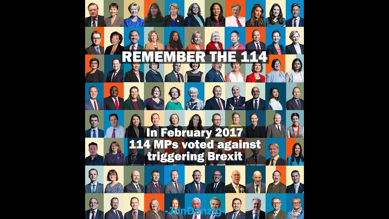 114 MPs: ANTI-BREXIT HEROES