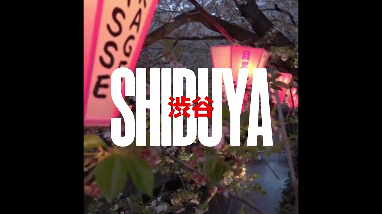 Izdeath - Shibuya (Visualizer)
