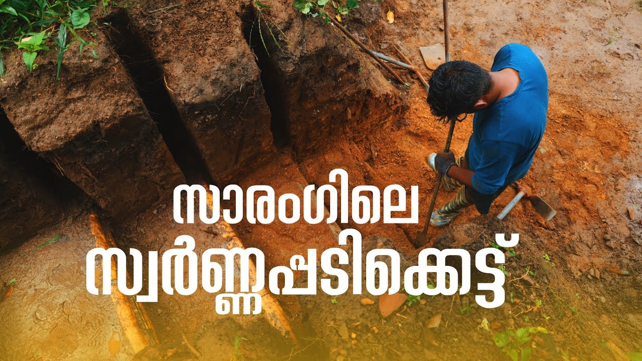സാരംഗിലെ സ്വർണ്ണപ്പടിക്കെട്ട് | വേലിപ്പണി | Dakshina | Sarang Family