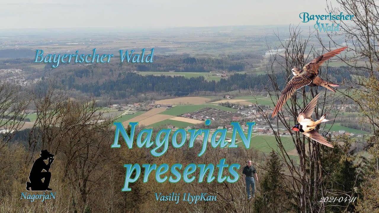 🚩2021-04-11🌳 BayerWald. Ulrichsberg, Grafling.(TVV).#Deggendorf.#NagorjaN
