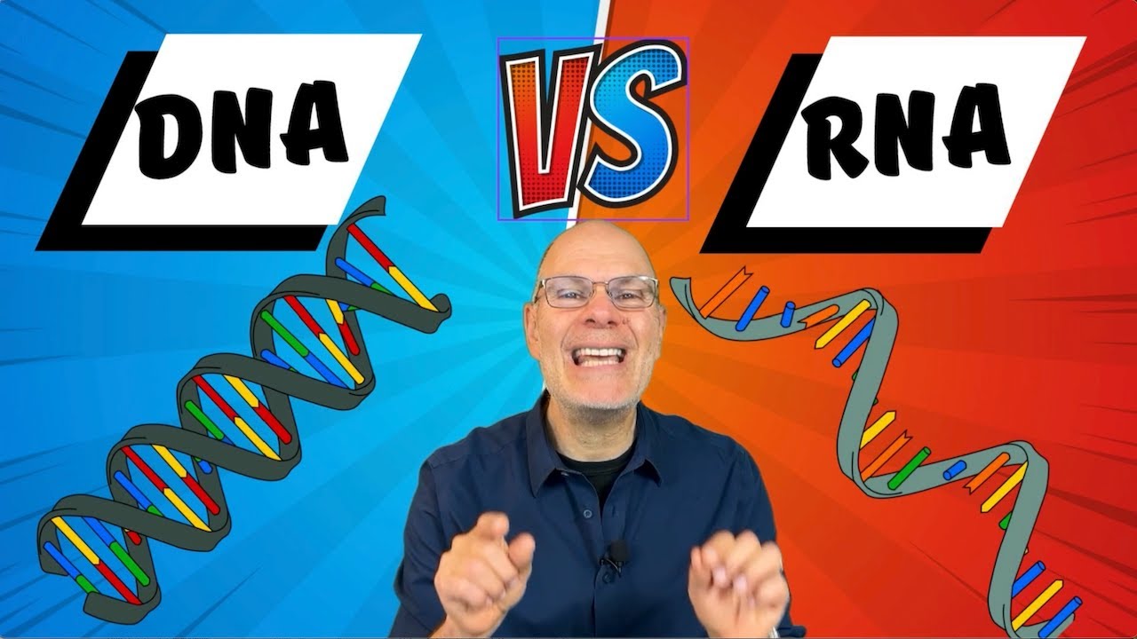DNA v  RNA, full explanation for AP Bio Topics 1.5 -1.6 and 6.1