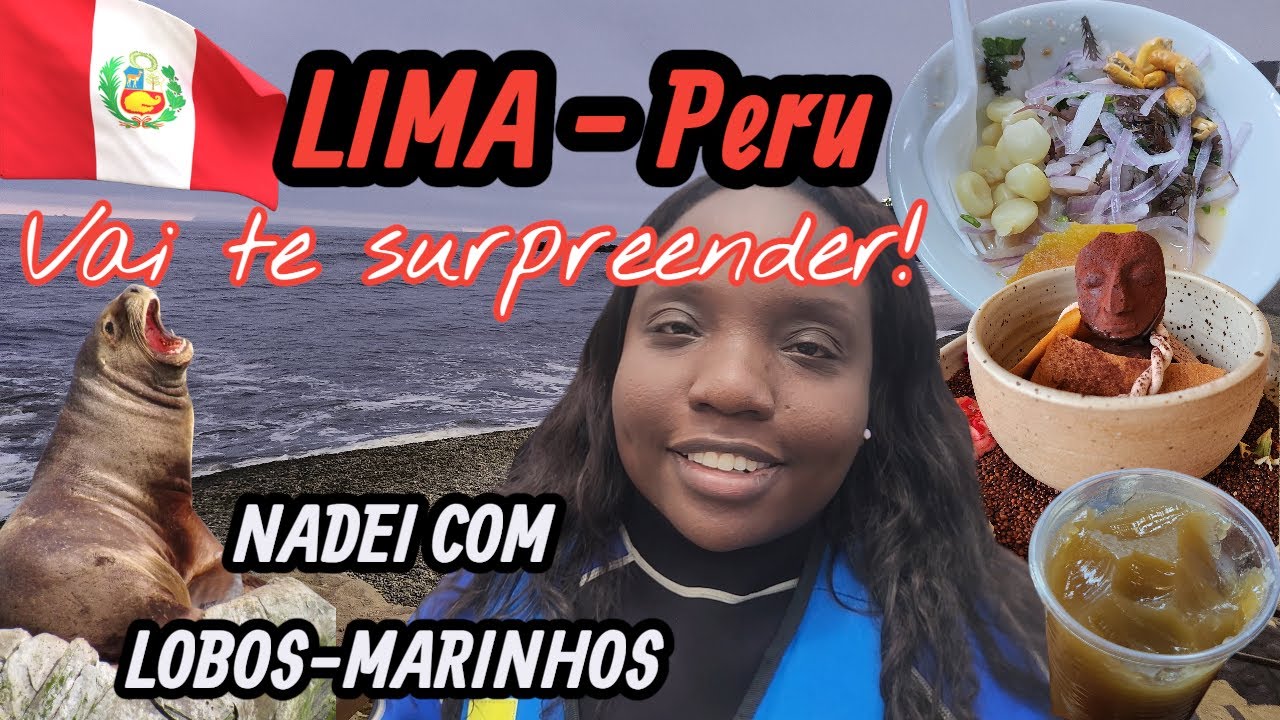 3 dias em Lima 🇵🇪 - Nadei com lobos marinhos, tour gastron&ocirc;mico e muito mais!