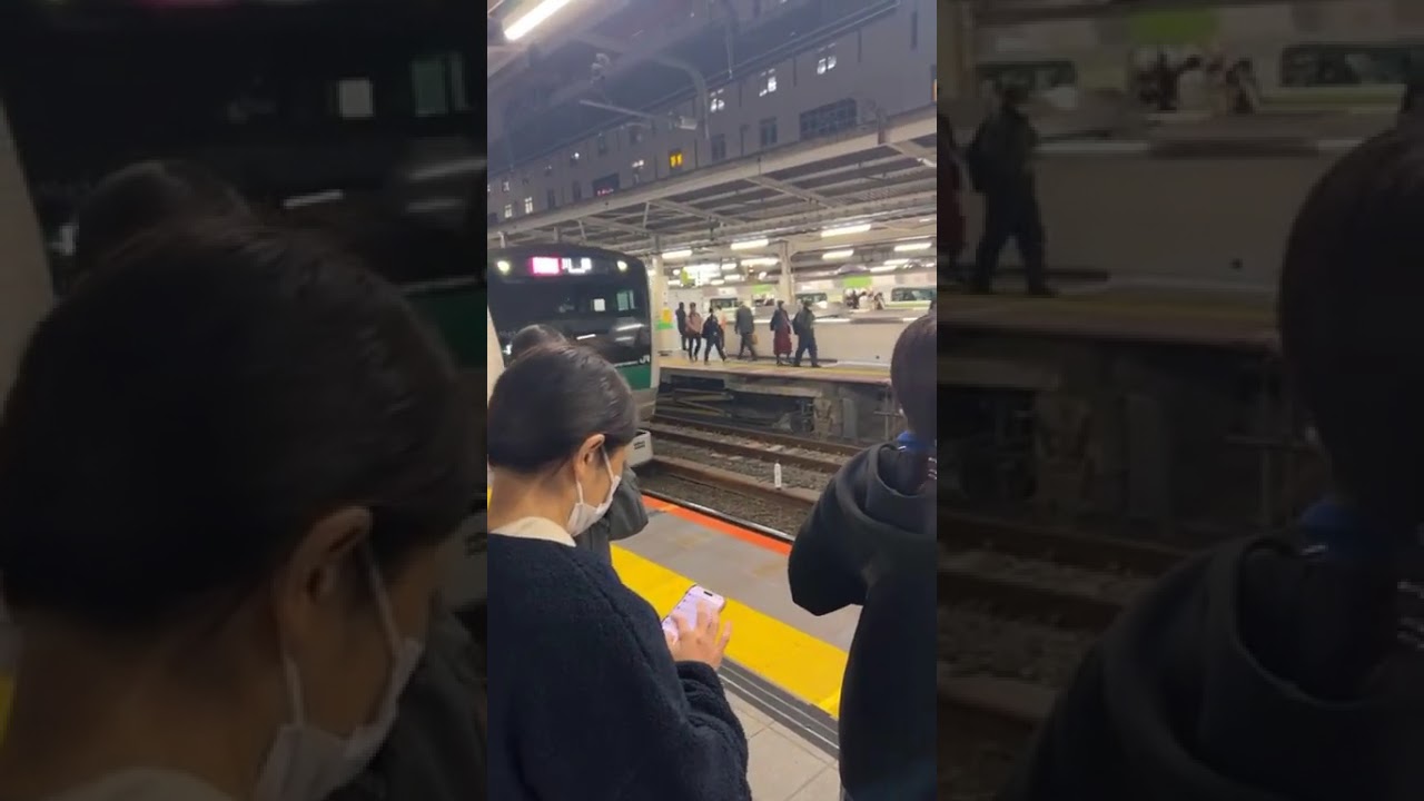 Tokyo Train Station