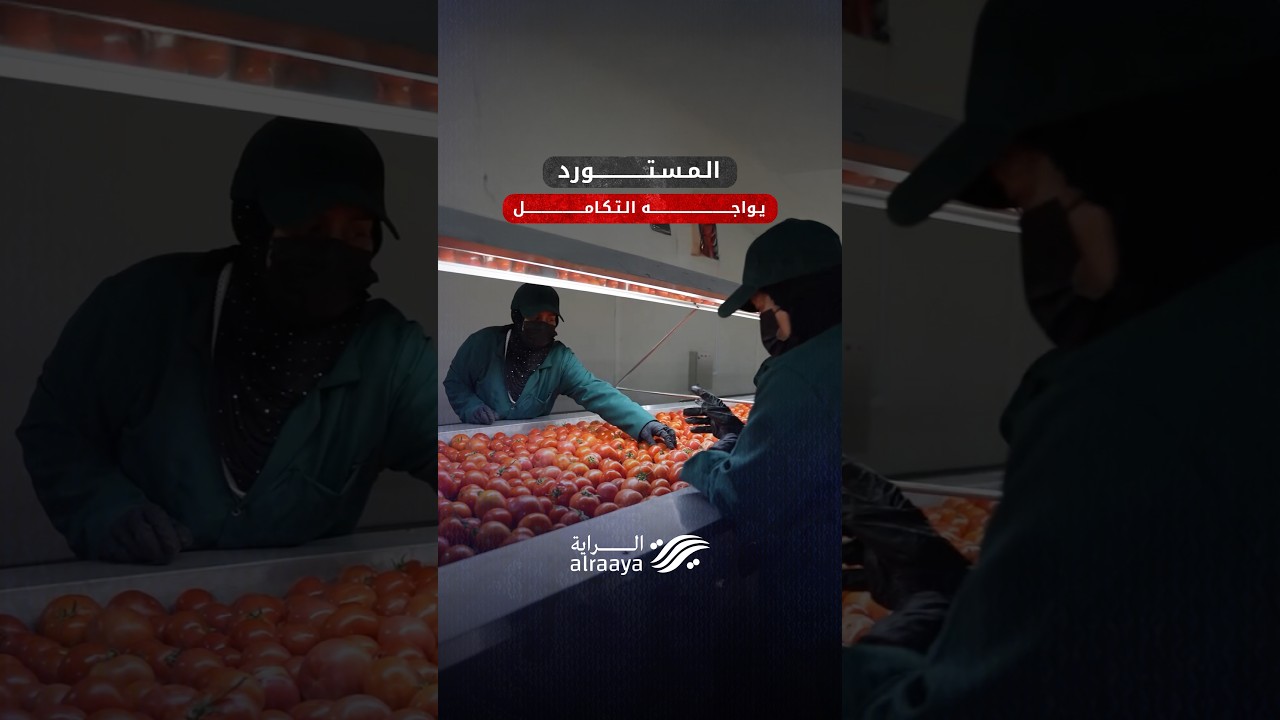 مخرجات زيارة وزيرة زراعة الاقليم إلى البصرة